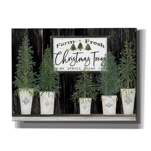 'Farm Fresh Trees of Christmas' by Cindy Jacobs, Canvas Wall Art