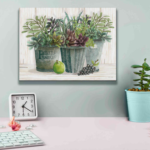 Image of 'Farmer Market Succulent Harvest' by Cindy Jacobs, Canvas Wall Art,16 x 12