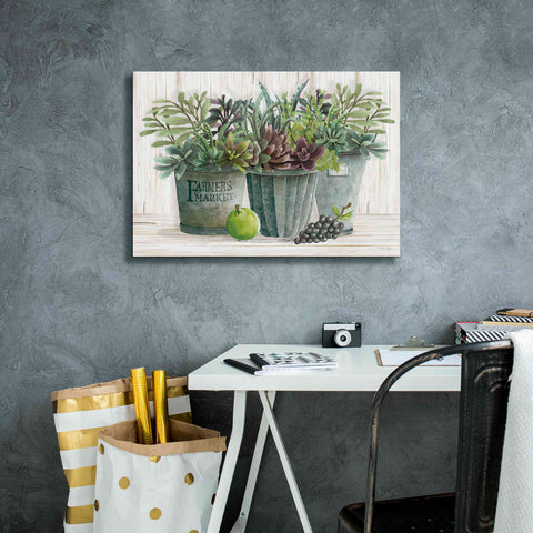 Image of 'Farmer Market Succulent Harvest' by Cindy Jacobs, Canvas Wall Art,26 x 18
