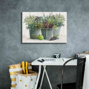 'Farmer Market Succulent Harvest' by Cindy Jacobs, Canvas Wall Art,26 x 18