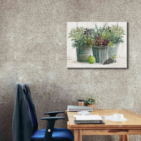 Image of 'Farmer Market Succulent Harvest' by Cindy Jacobs, Canvas Wall Art,34 x 26