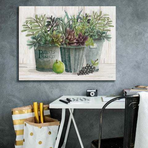 Image of 'Farmer Market Succulent Harvest' by Cindy Jacobs, Canvas Wall Art,34 x 26