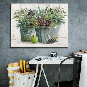 'Farmer Market Succulent Harvest' by Cindy Jacobs, Canvas Wall Art,34 x 26