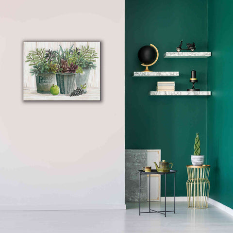 Image of 'Farmer Market Succulent Harvest' by Cindy Jacobs, Canvas Wall Art,34 x 26