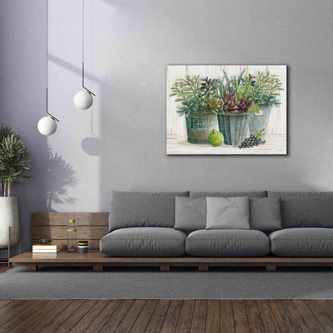Image of 'Farmer Market Succulent Harvest' by Cindy Jacobs, Canvas Wall Art,54 x 40