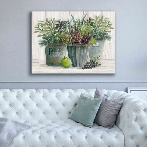 Image of 'Farmer Market Succulent Harvest' by Cindy Jacobs, Canvas Wall Art,54 x 40