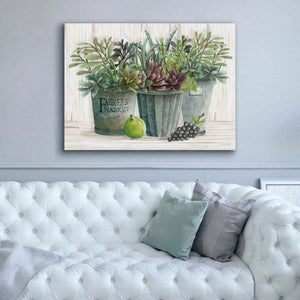 'Farmer Market Succulent Harvest' by Cindy Jacobs, Canvas Wall Art,54 x 40