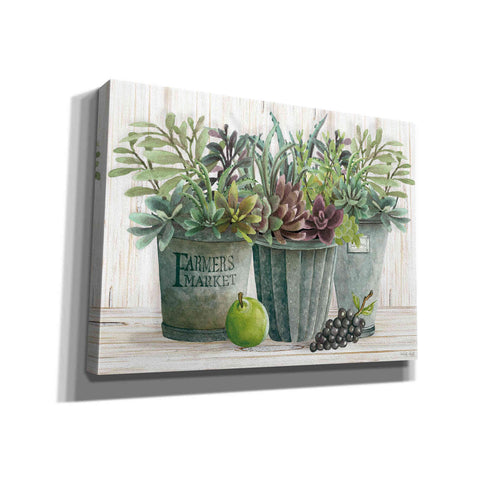 Image of 'Farmer Market Succulent Harvest' by Cindy Jacobs, Canvas Wall Art