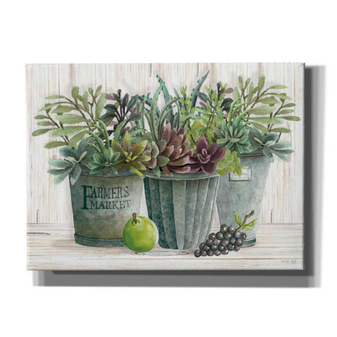 Image of 'Farmer Market Succulent Harvest' by Cindy Jacobs, Canvas Wall Art