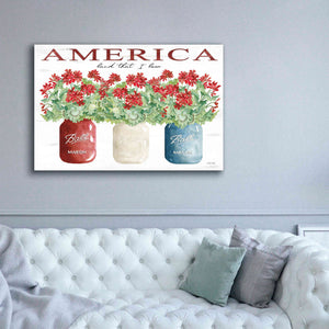 'America Glass Jars' by Cindy Jacobs, Canvas Wall Art,60 x 40
