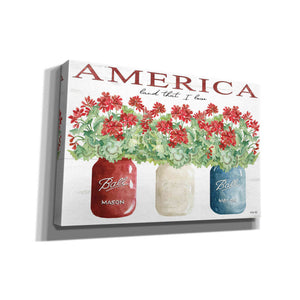 'America Glass Jars' by Cindy Jacobs, Canvas Wall Art