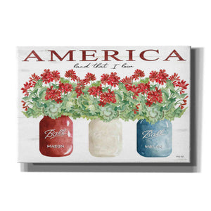 'America Glass Jars' by Cindy Jacobs, Canvas Wall Art