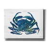 'Blue Coastal Crab' by Cindy Jacobs, Canvas Wall Art
