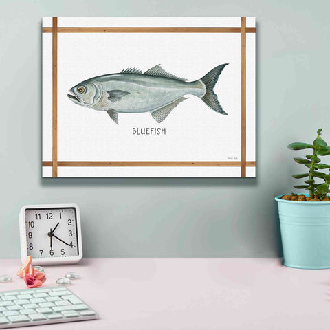 Image of 'Bluefish on White' by Cindy Jacobs, Canvas Wall Art,16 x 12