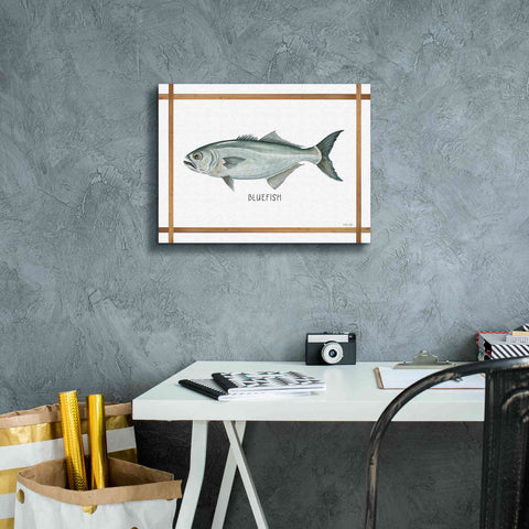 Image of 'Bluefish on White' by Cindy Jacobs, Canvas Wall Art,16 x 12