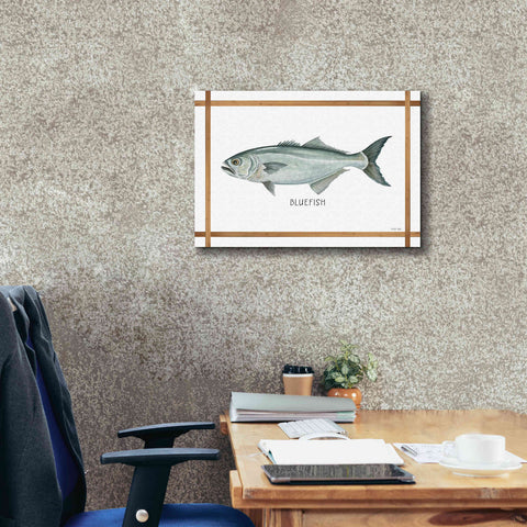 Image of 'Bluefish on White' by Cindy Jacobs, Canvas Wall Art,26 x 18