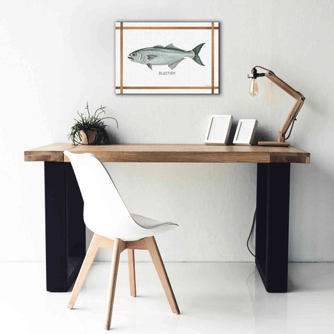 Image of 'Bluefish on White' by Cindy Jacobs, Canvas Wall Art,26 x 18