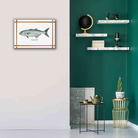 Image of 'Bluefish on White' by Cindy Jacobs, Canvas Wall Art,26 x 18