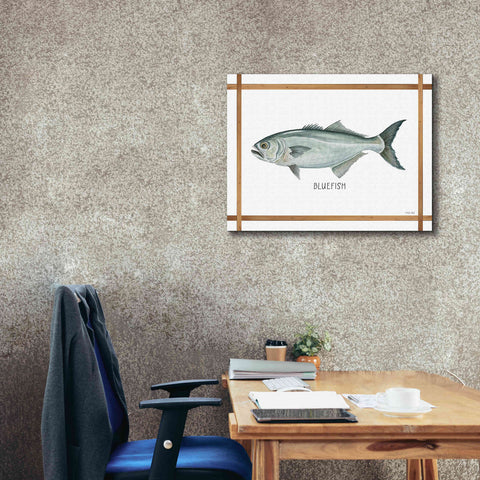 Image of 'Bluefish on White' by Cindy Jacobs, Canvas Wall Art,34 x 26