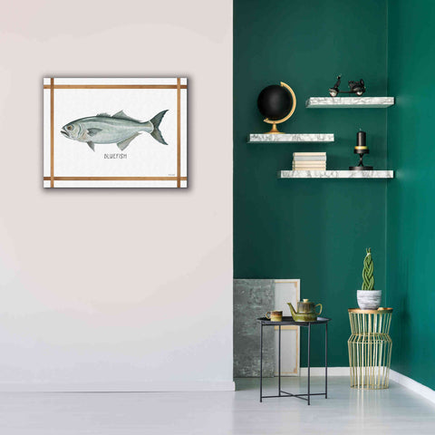 Image of 'Bluefish on White' by Cindy Jacobs, Canvas Wall Art,34 x 26