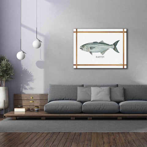 Image of 'Bluefish on White' by Cindy Jacobs, Canvas Wall Art,54 x 40