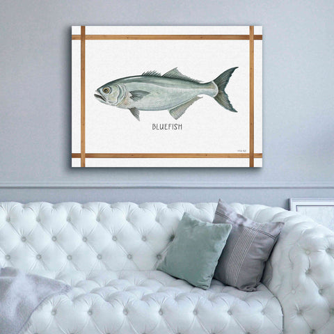 Image of 'Bluefish on White' by Cindy Jacobs, Canvas Wall Art,54 x 40