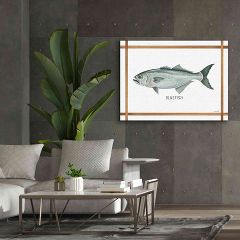 Image of 'Bluefish on White' by Cindy Jacobs, Canvas Wall Art,54 x 40