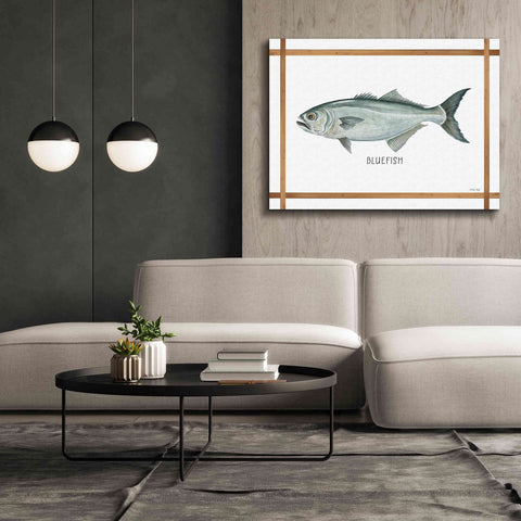 Image of 'Bluefish on White' by Cindy Jacobs, Canvas Wall Art,54 x 40