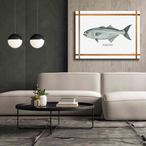 'Bluefish on White' by Cindy Jacobs, Canvas Wall Art,54 x 40