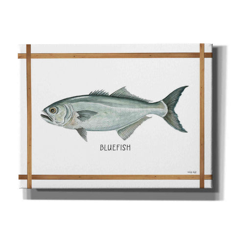 Image of 'Bluefish on White' by Cindy Jacobs, Canvas Wall Art