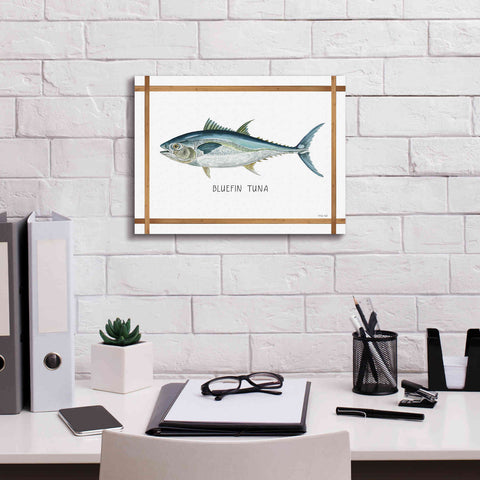 Image of 'Bluefin Tuna on White' by Cindy Jacobs, Canvas Wall Art,16 x 12