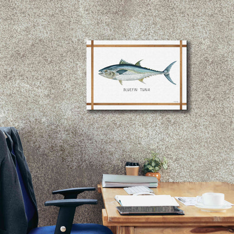 Image of 'Bluefin Tuna on White' by Cindy Jacobs, Canvas Wall Art,26 x 18