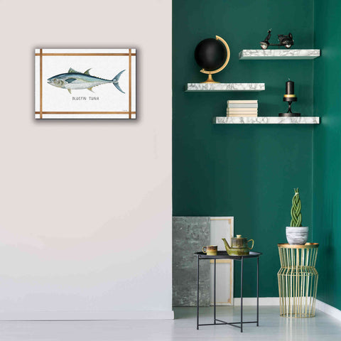 Image of 'Bluefin Tuna on White' by Cindy Jacobs, Canvas Wall Art,26 x 18