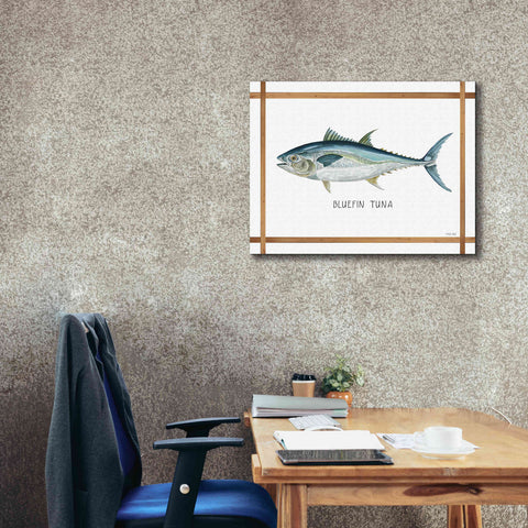 Image of 'Bluefin Tuna on White' by Cindy Jacobs, Canvas Wall Art,34 x 26