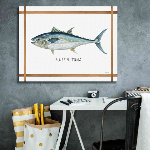 Image of 'Bluefin Tuna on White' by Cindy Jacobs, Canvas Wall Art,34 x 26