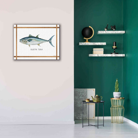 Image of 'Bluefin Tuna on White' by Cindy Jacobs, Canvas Wall Art,34 x 26