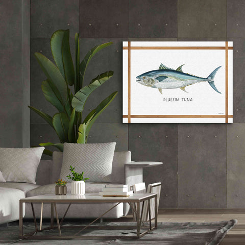 Image of 'Bluefin Tuna on White' by Cindy Jacobs, Canvas Wall Art,54 x 40