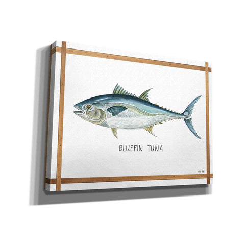 Image of 'Bluefin Tuna on White' by Cindy Jacobs, Canvas Wall Art