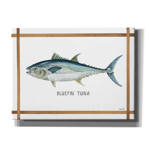 Image of 'Bluefin Tuna on White' by Cindy Jacobs, Canvas Wall Art