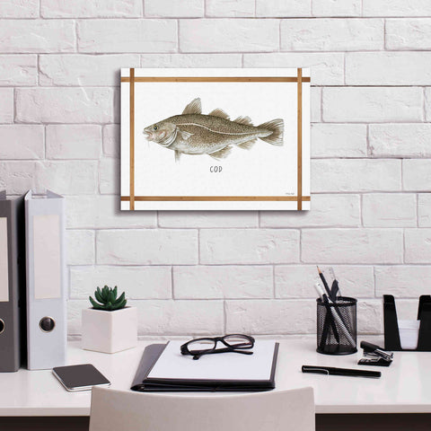 Image of 'Cod on White' by Cindy Jacobs, Canvas Wall Art,16 x 12