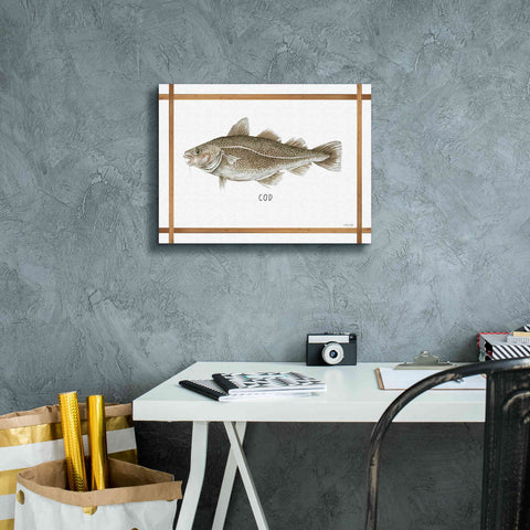 Image of 'Cod on White' by Cindy Jacobs, Canvas Wall Art,16 x 12