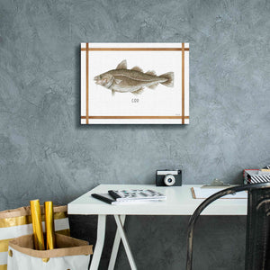 'Cod on White' by Cindy Jacobs, Canvas Wall Art,16 x 12