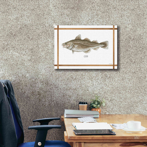 Image of 'Cod on White' by Cindy Jacobs, Canvas Wall Art,26 x 18