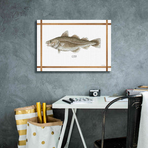 'Cod on White' by Cindy Jacobs, Canvas Wall Art,26 x 18