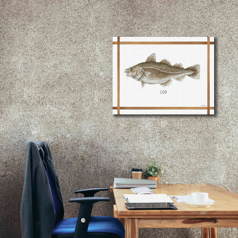 Image of 'Cod on White' by Cindy Jacobs, Canvas Wall Art,34 x 26