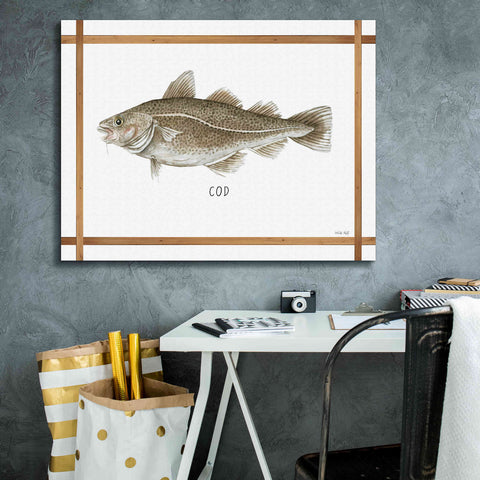 Image of 'Cod on White' by Cindy Jacobs, Canvas Wall Art,34 x 26