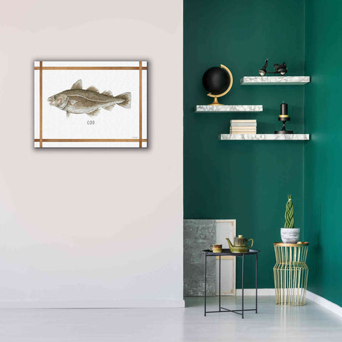 Image of 'Cod on White' by Cindy Jacobs, Canvas Wall Art,34 x 26