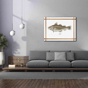 'Cod on White' by Cindy Jacobs, Canvas Wall Art,54 x 40