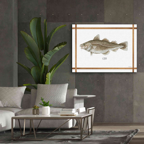 Image of 'Cod on White' by Cindy Jacobs, Canvas Wall Art,54 x 40