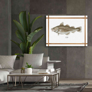 'Cod on White' by Cindy Jacobs, Canvas Wall Art,54 x 40